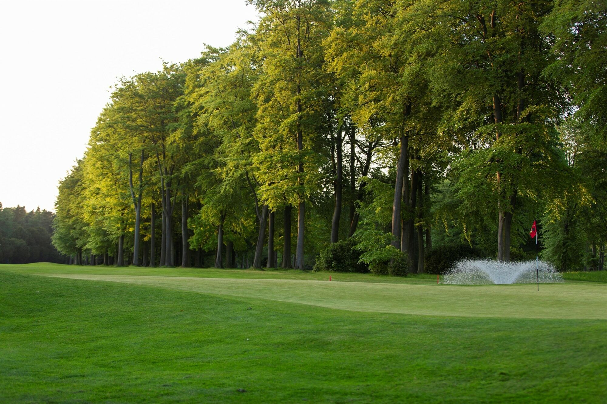 Forest Pines Hotel, Spa & Golf Resort Brigg Exterior foto